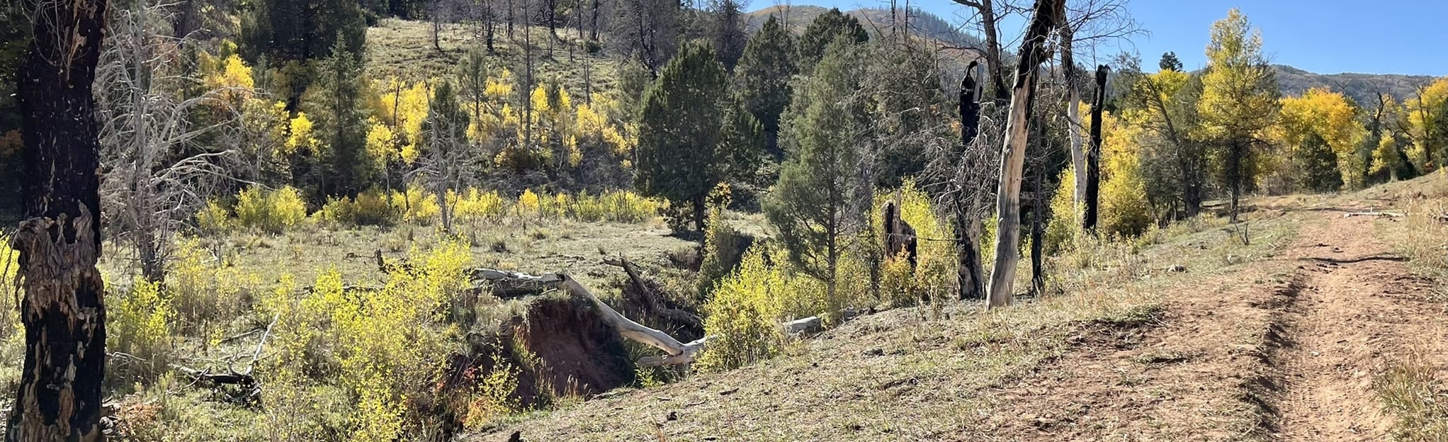 Mapleton Sawmill Hollow Trail 14 Reviews, Map Utah AllTrails