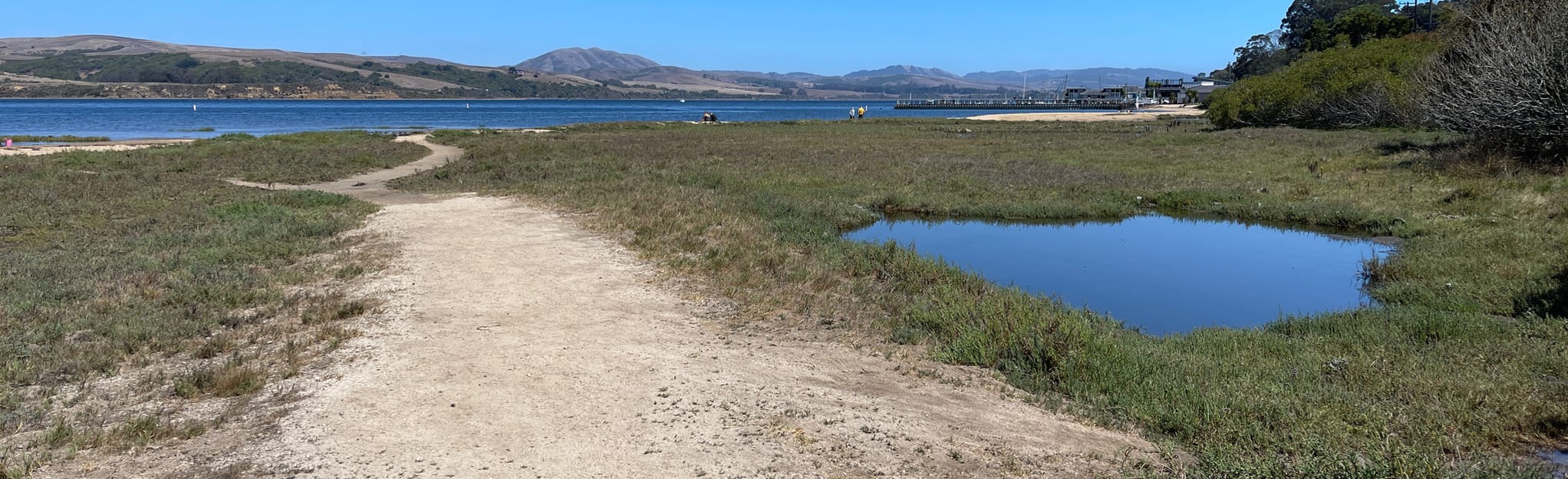 Chicken Ranch Beach 12 Reviews, Map California AllTrails