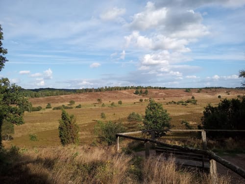 Suhorn - Wümmeberg - Tütsberg