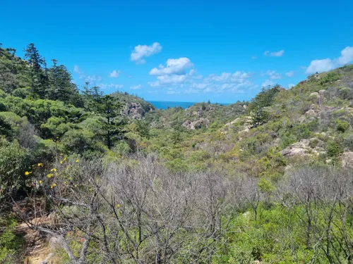 Magnetic Island, Beaches, Wildlife, National Park