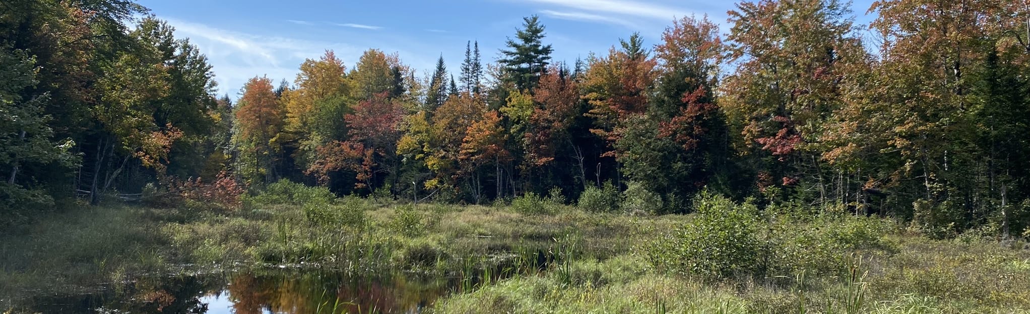 Thurston Trail 1, 2, and Old Yorktown Road Loop 39 Reviews, Map Maine AllTrails