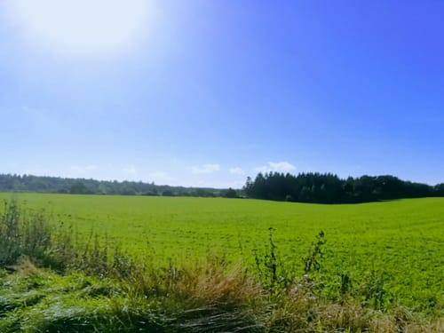 Um den Kransburger See