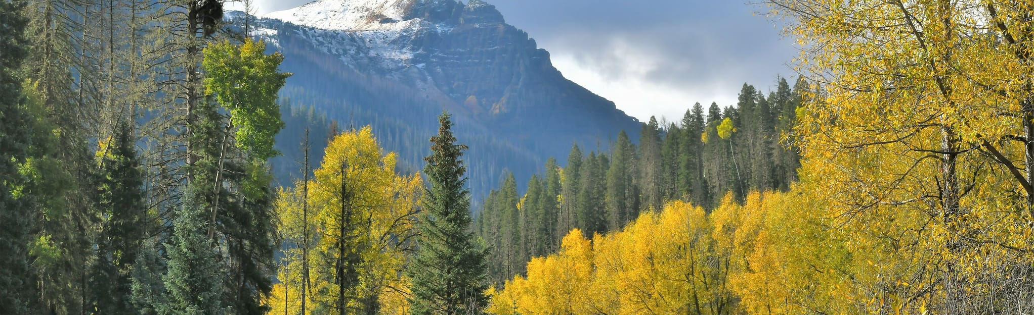 AllTrails Quartz Creek Trail 9 Reviews, Map Colorado