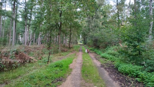 Naturwildpark Granat ab Holtwick
