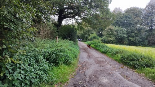 Uhlenhof Rundweg A6