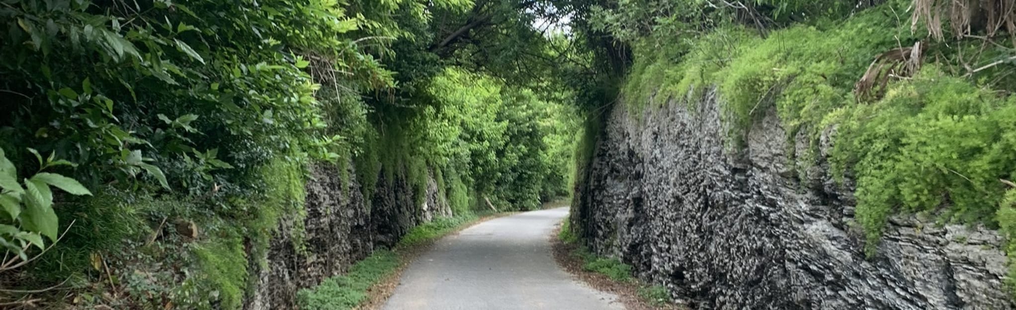 Bermuda Railway Trail, Smith