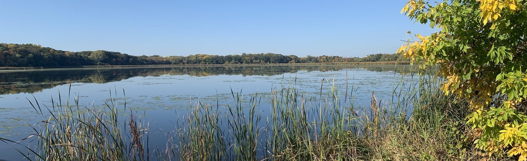 Rice Marsh Lake Loop, Minnesota 563 Reviews, Map AllTrails