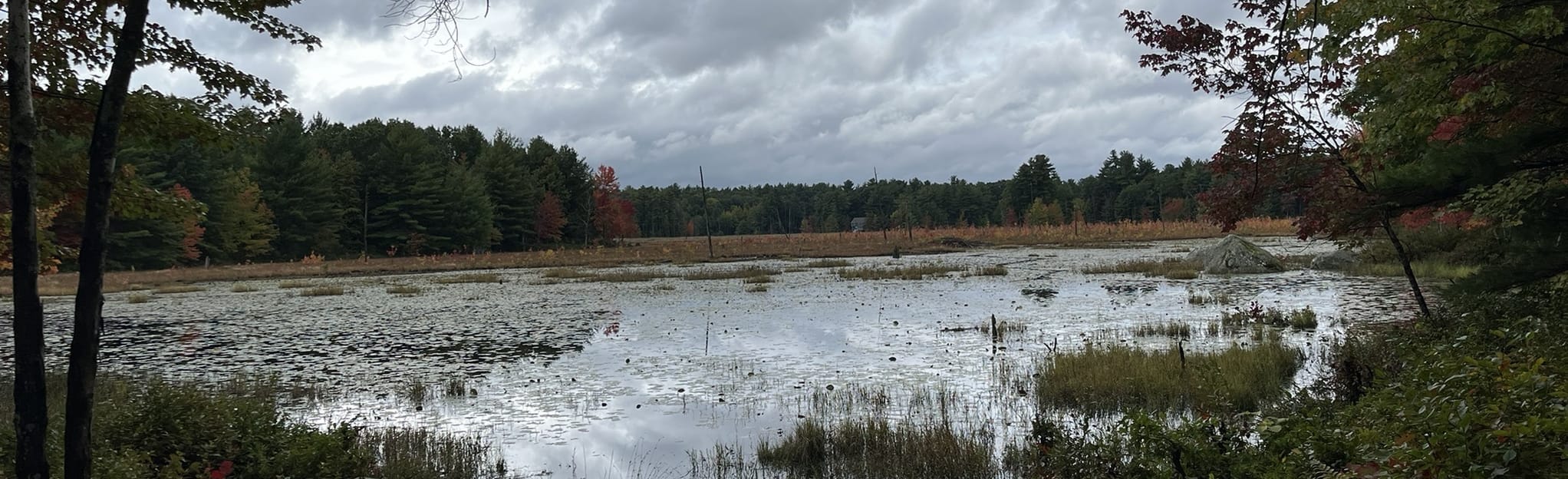 Blodgett Hill and Rocky Trail Loop 687 Reviews, Map New Hampshire