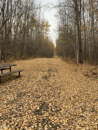 Best Horseback Riding Trails in Sherwood Park | AllTrails