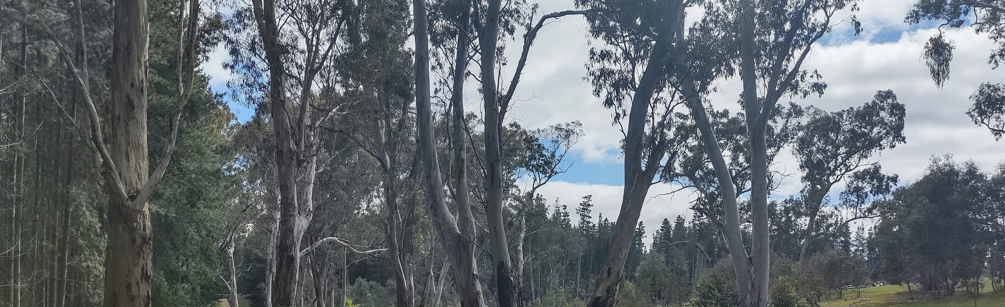 Ridge Kersbrook Forest 6 Reviews, Map South Australia