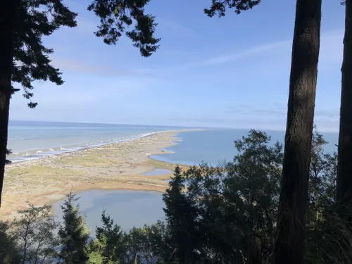 Hiking Dungeness Spit in Sequim, WA