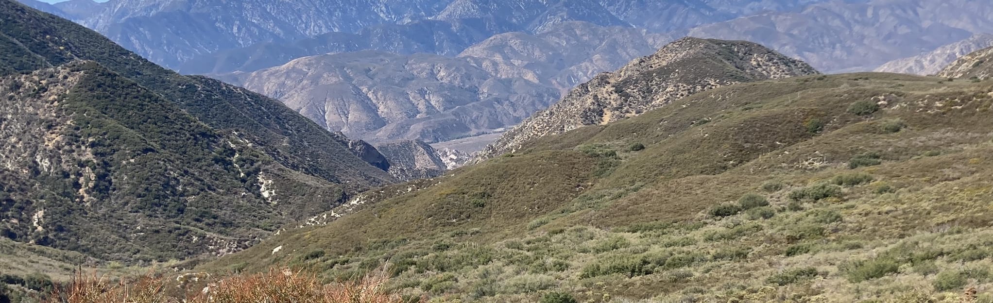 Cajon Mountain, California 23 Reviews, Map AllTrails