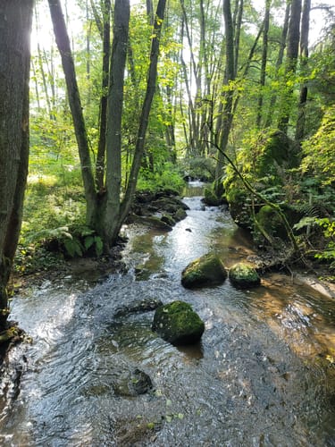 Rund um den Leuchtenberg