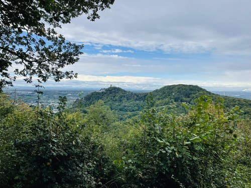 Traumhafte Siebengebirgsrunde mit Löwenburg und Drachenfels
