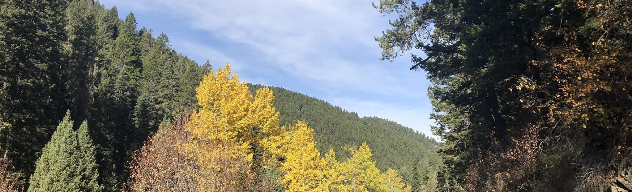 Mystic Lake via Bozeman Creek Trail Montana AllTrails