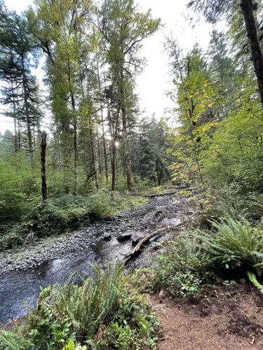 Best Hikes and Trails in Shotgun Creek Recreation Area | AllTrails