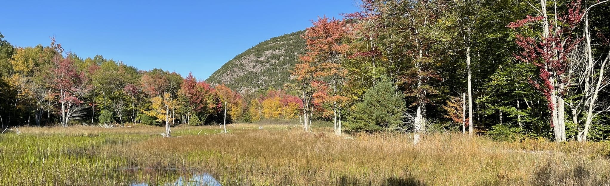 Canon Brook, Cadillac South Ridge and Dorr Mountain South Ridge Trail