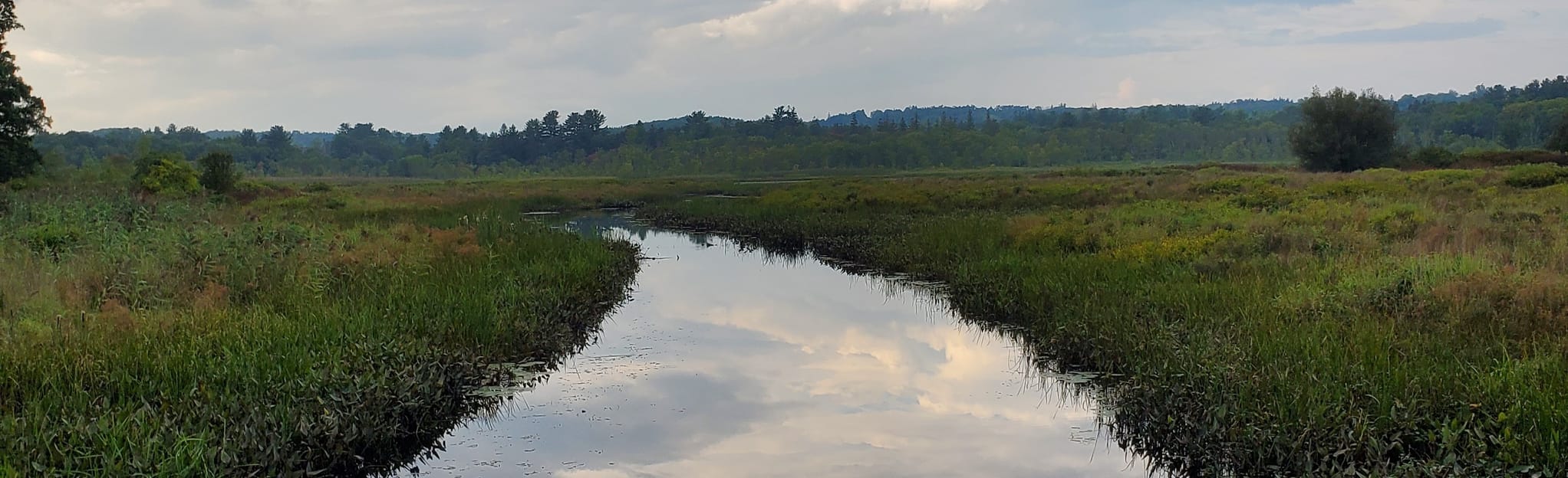 Mallard Marsh and Little Pond Trail 349 Reviews, Map Connecticut AllTrails
