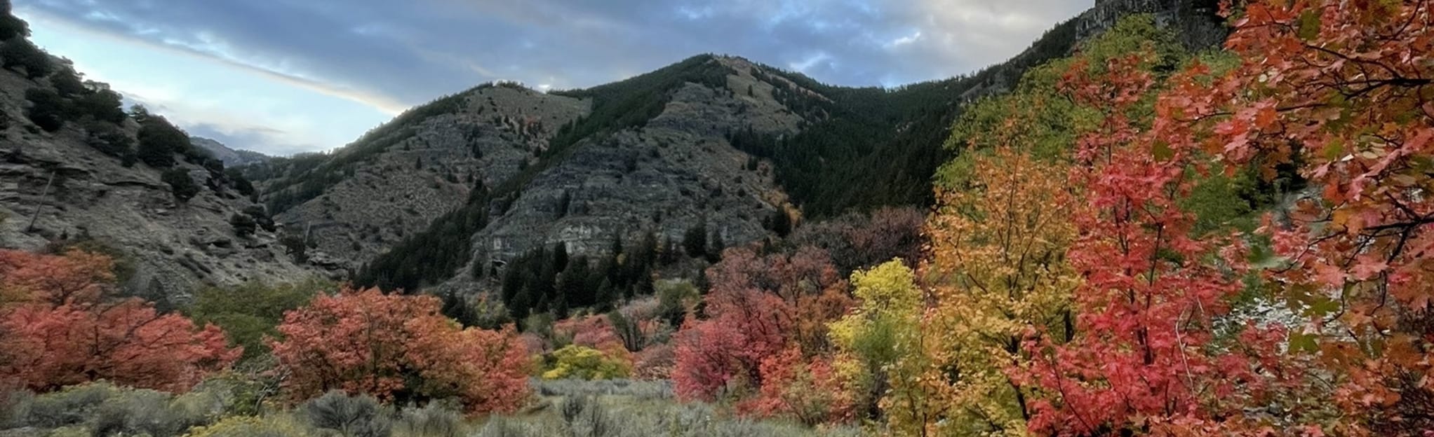 Blacksmith Fork River Trail 345 Photos Utah Randonnée AllTrails