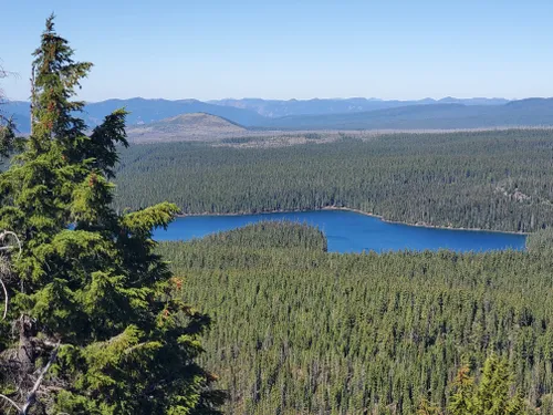 Best Hikes and Trails in Waldo Lake Wilderness | AllTrails