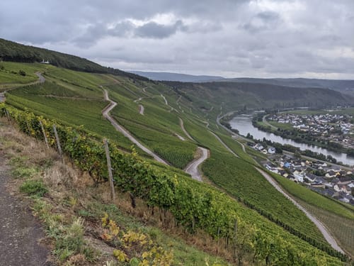 Klüsserather Sagenweg (Moselsteig Seitensprung)