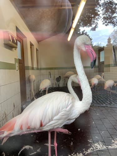 Im Tierpark Röhrensee