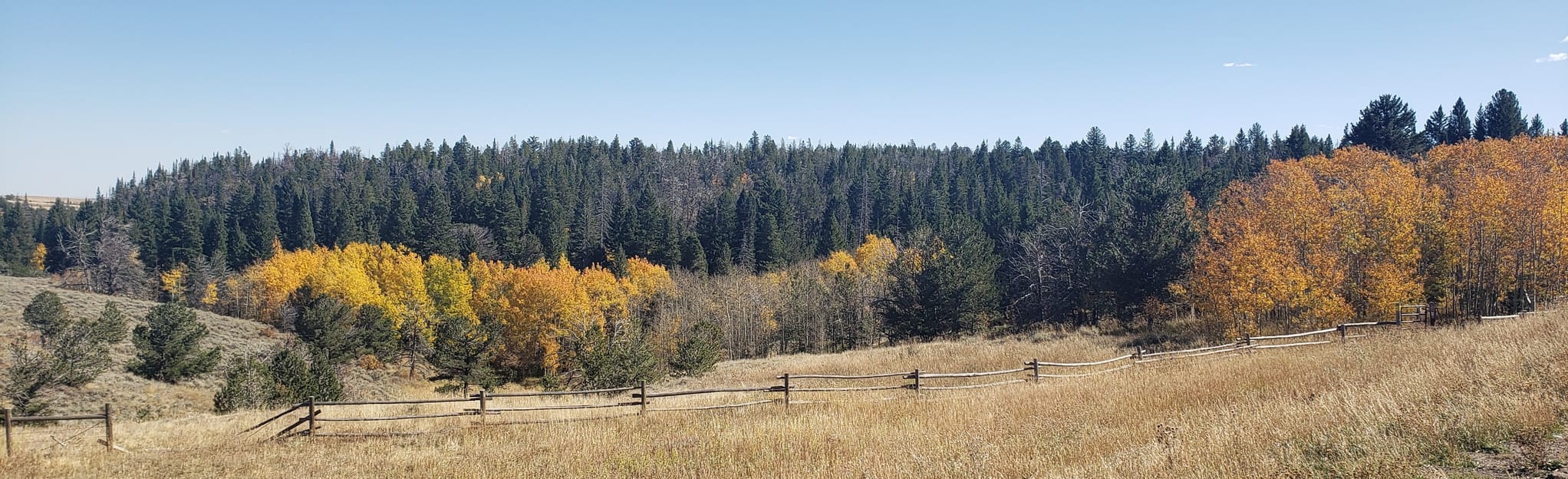 Meadow Trail and Pole Creek Loop, Wyoming 62 Reviews, Map AllTrails