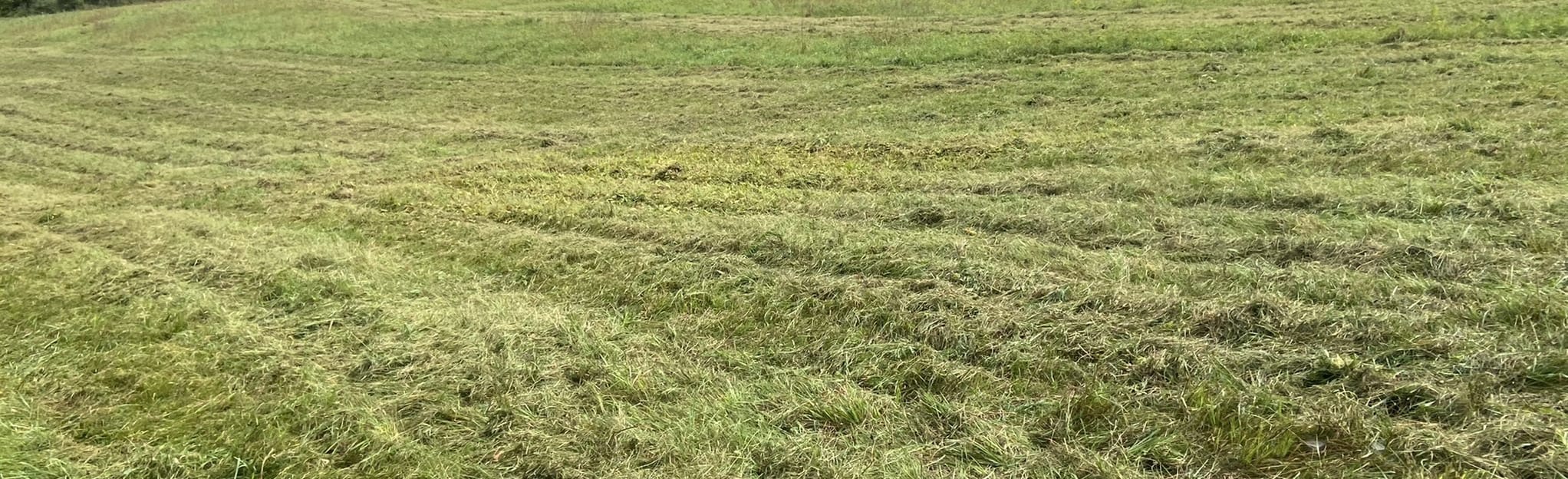 Verplanck Ridge Trail Map, Guide New York AllTrails