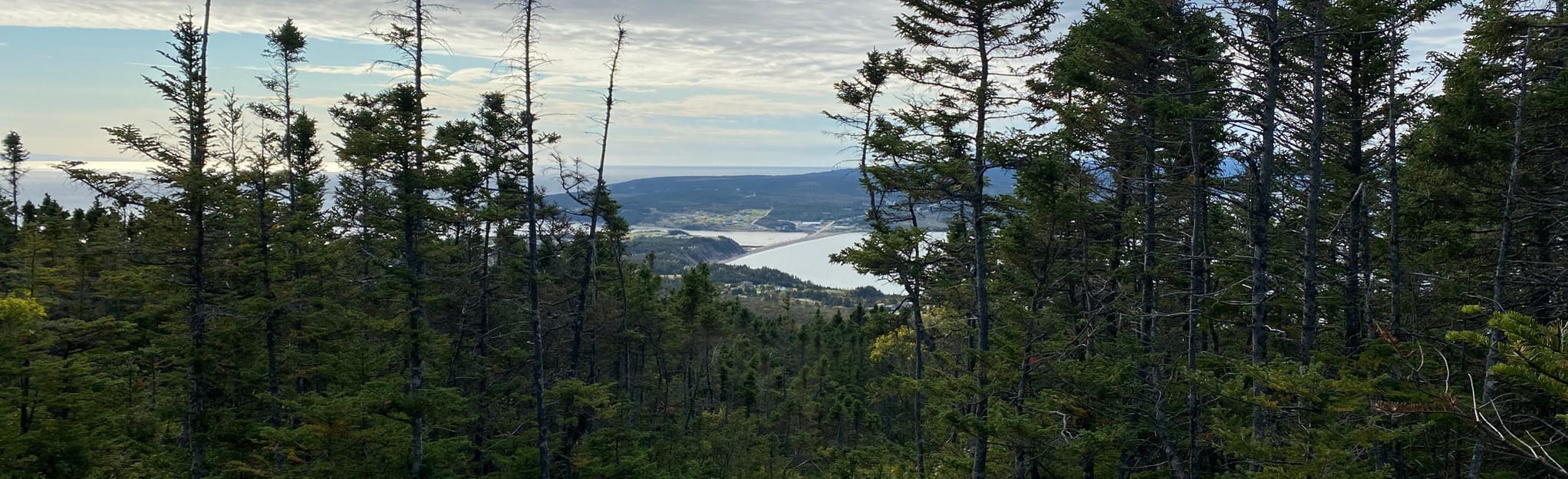 Pine Tree Trail: 38 Reviews, Map - Newfoundland and Labrador, Canada ...