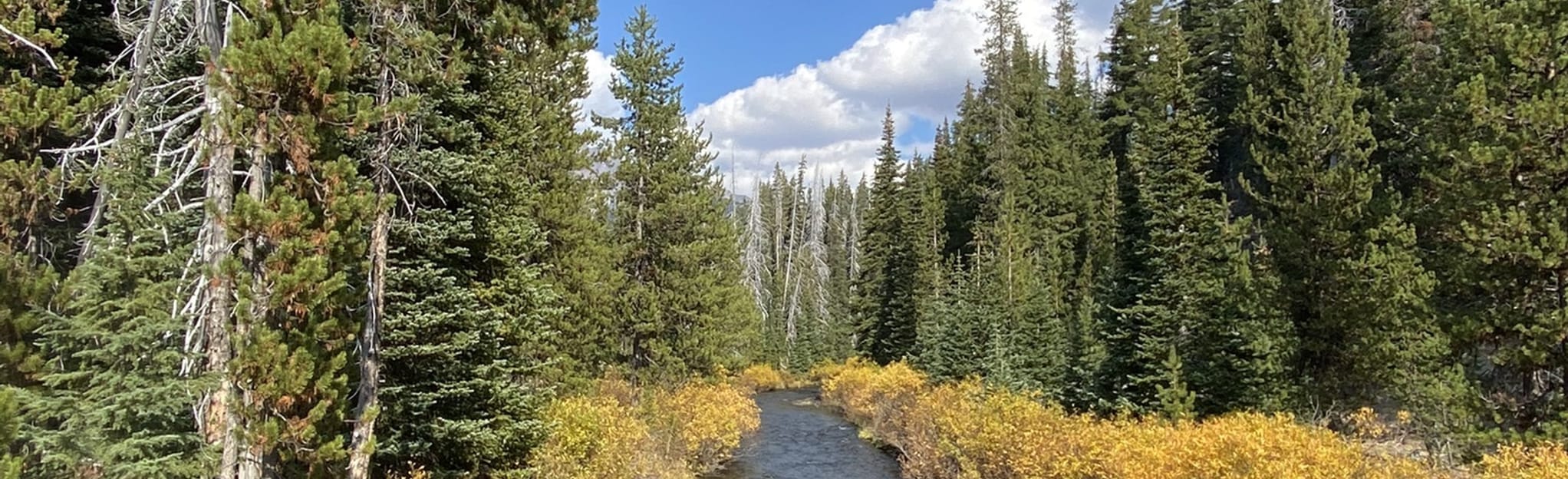 Green Lakes and Soda Creek Loop 294 Reviews, Map Oregon AllTrails