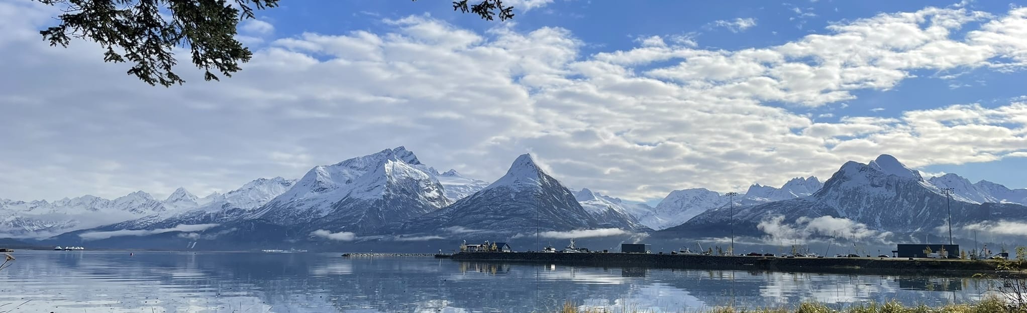 Dock Point Trail: 156 foto's - Alaska | AllTrails