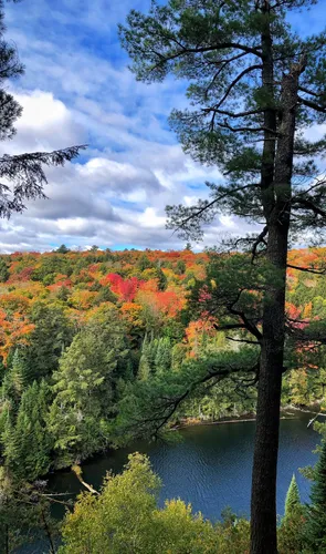 Best trails hotsell in algonquin park