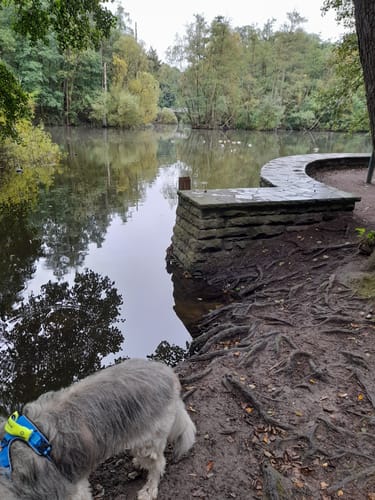 Stadtpark Winterhude