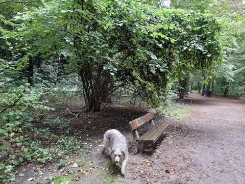 Stadtpark Winterhude