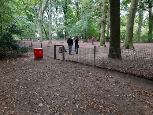 Stadtpark Winterhude