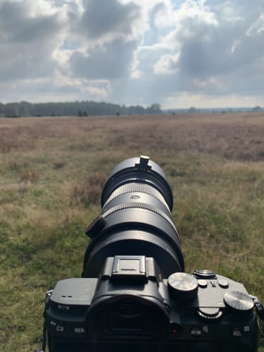 Rund um den Faßberg im Wacholderwald