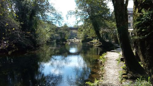 Photos of Pontevedra, Spain dogs on leash trails | AllTrails