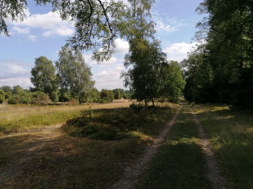 Unterhaverbeck - Wilsede - Wilseder Berg