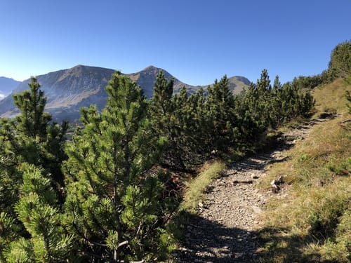 MTB Eschenlohe - Hohe Kisten