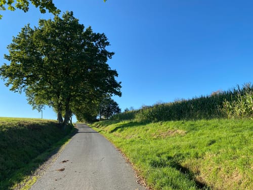 B3 - Silberbergweg