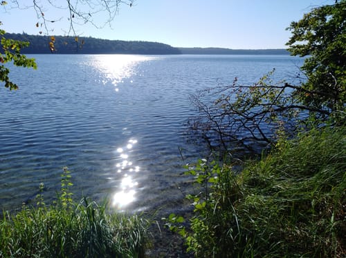 Stechlinsee und Dagowsee