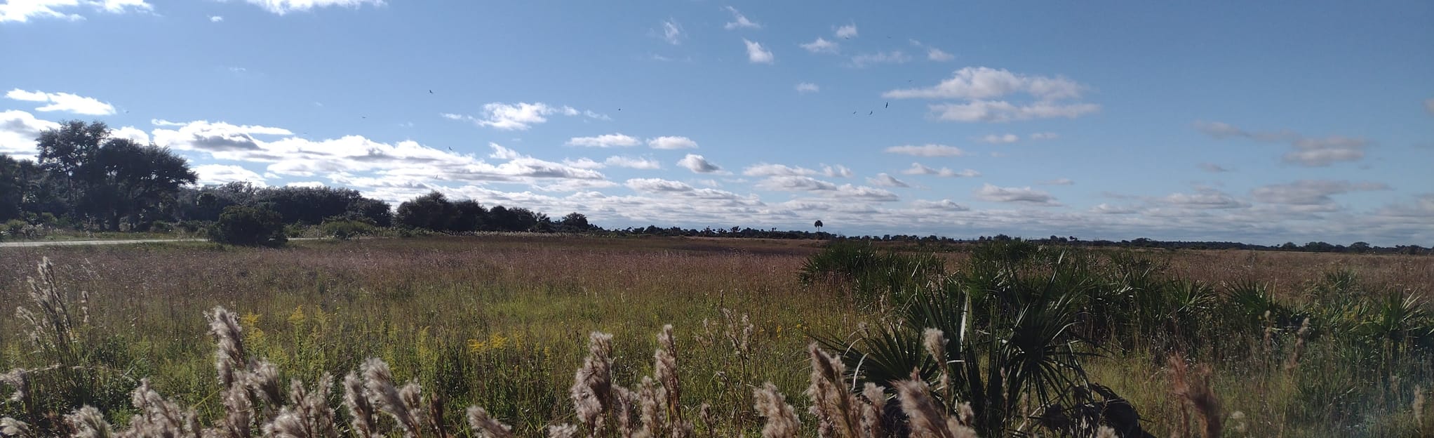 Florida Trail Kissimmee Prairie Preserve State Park to Bull Creek, Florida 3 Reviews, Map