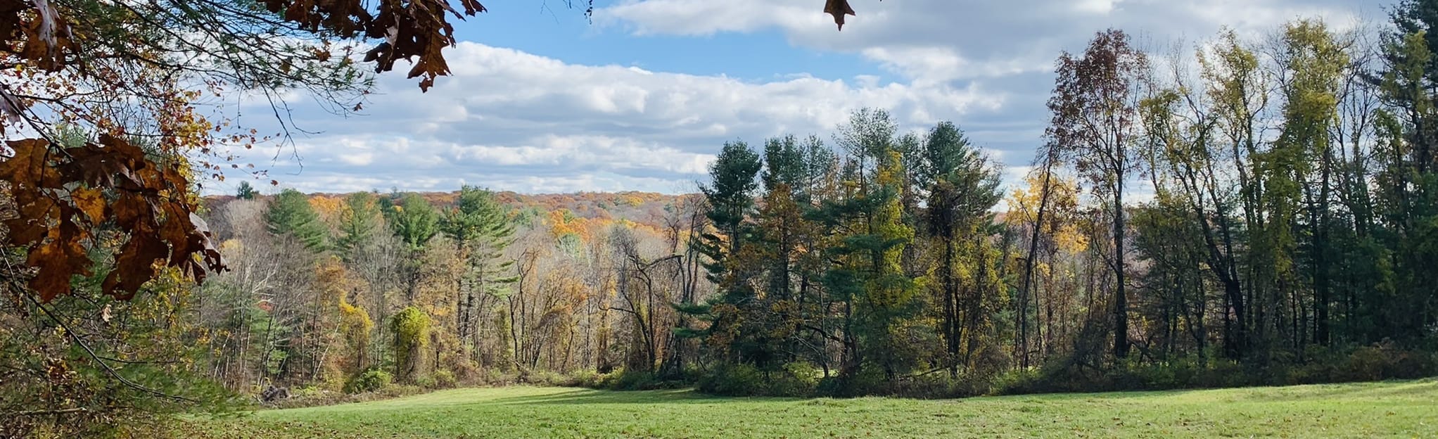 Breezy Hill Loop, 258 Fotos Connecticut AllTrails