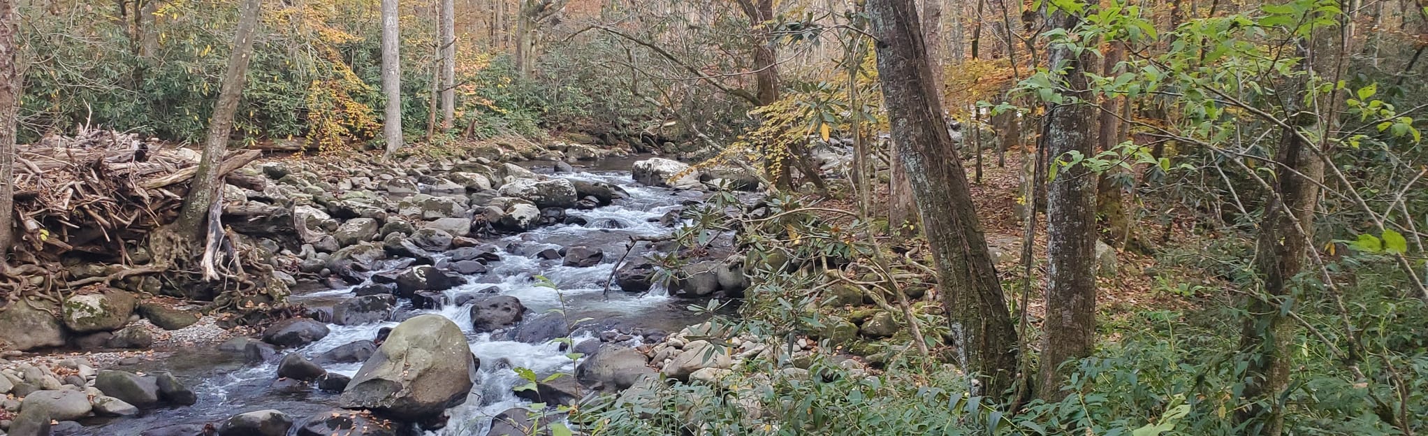 Bullhead View Quiet Walkway, Tennessee 83 Reviews, Map AllTrails