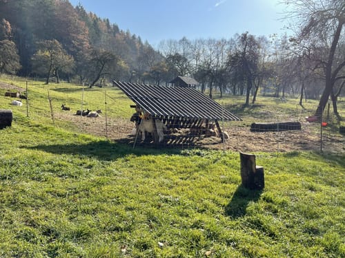 Musberg nach Neuenhaus über dem Uhlberg