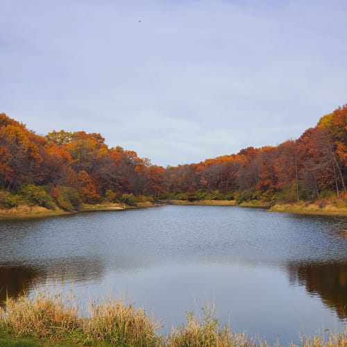 2023 Best Kid Friendly Trails in Yellow Banks Park AllTrails