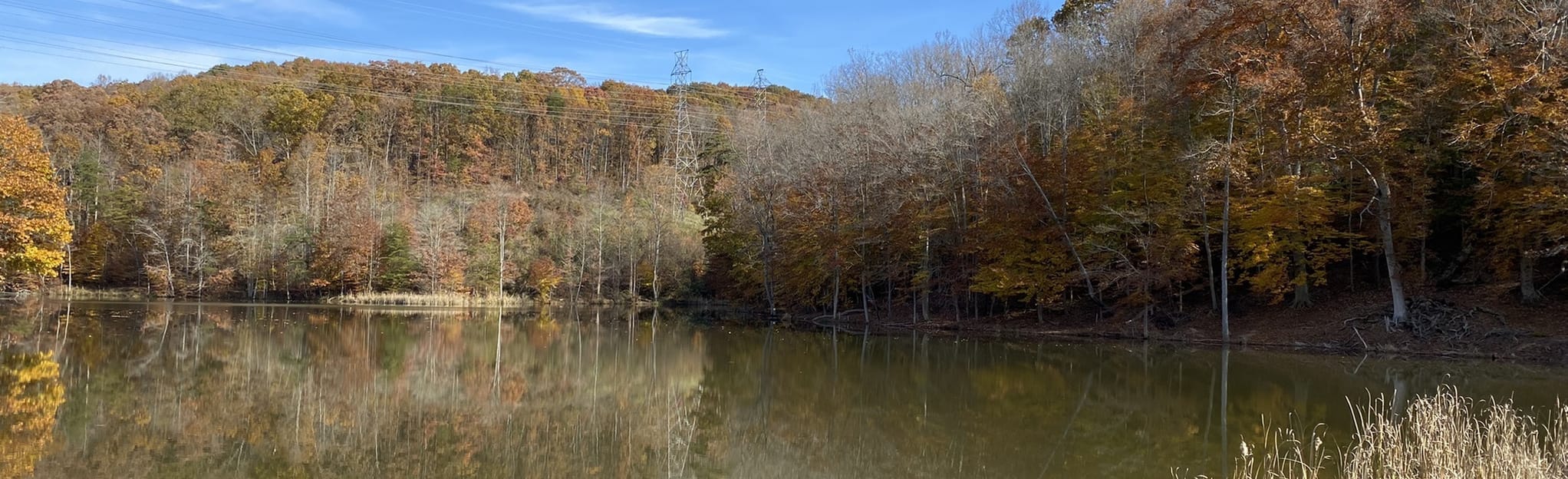 Dunbar Cellar Wine and Anderson Lake Loop, West Virginia 100 Reviews