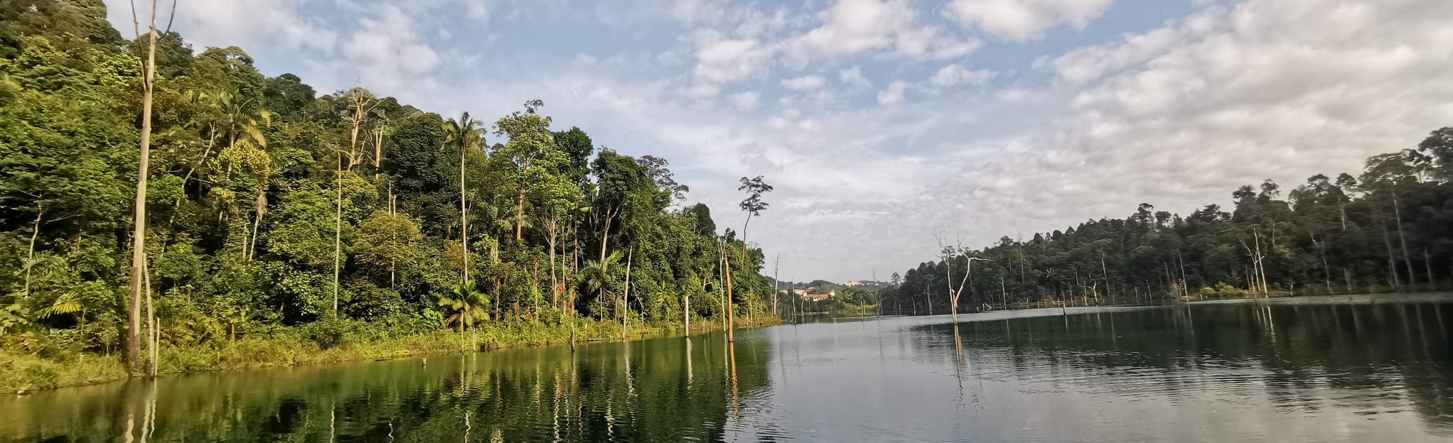 Mirror Lake via Persiaran Pulau Angsa, Selangor, Malaysia 7 Reviews