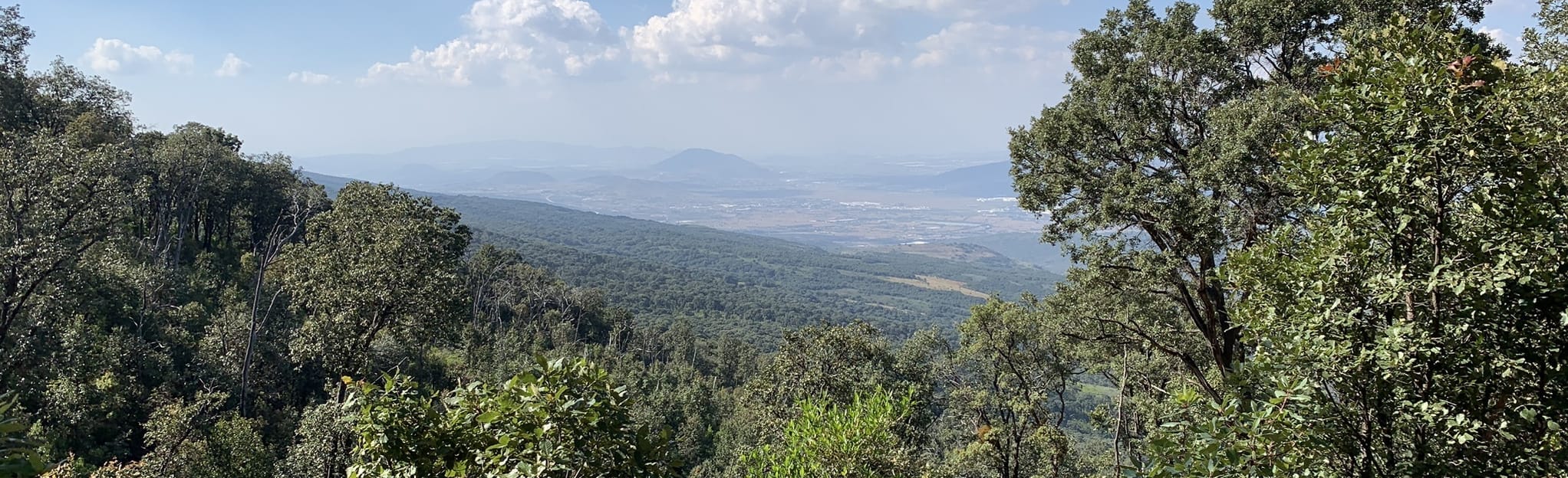 Cerro Viejo vía San Miguel Cuyutlán 76 fotos Jalisco, México AllTrails