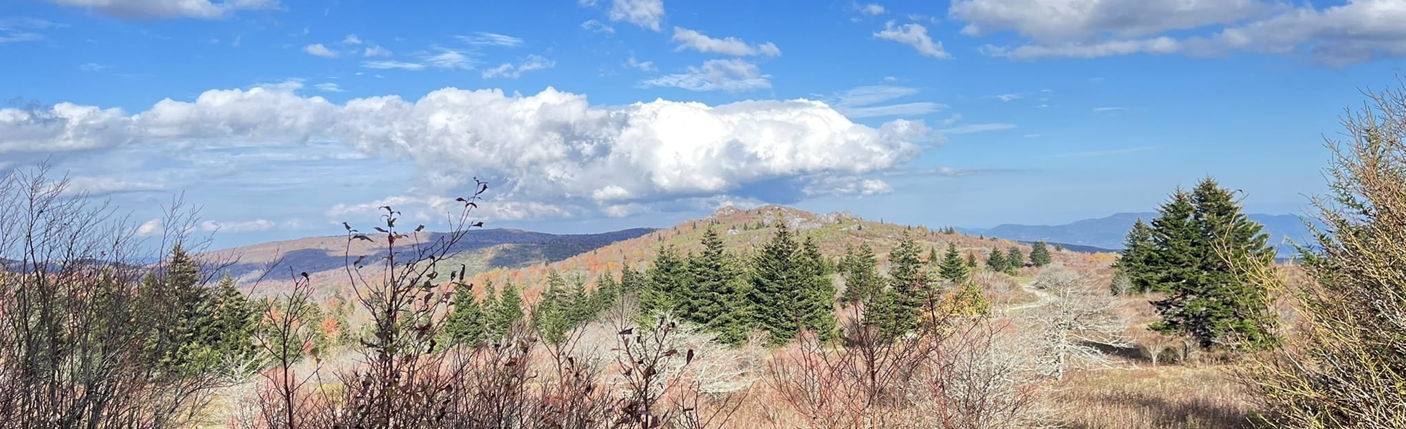 Wilburn Ridge, Pine Mountain, and Mount Rogers Trail 748 Reviews, Map